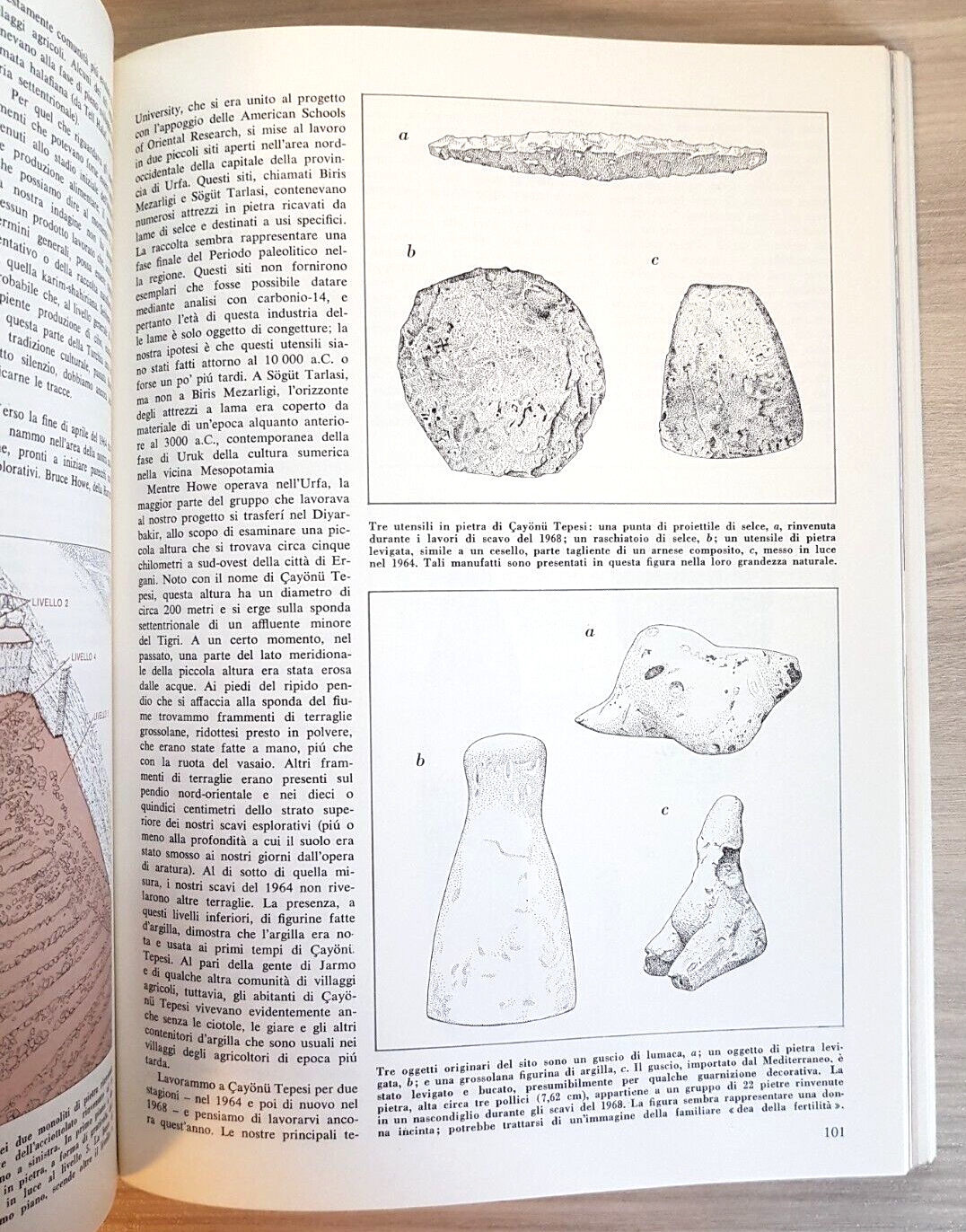Paletnología y arqueología del paleolítico al Antichit 1973 The Sciences (